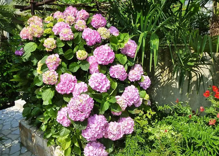 Grozic - A1 Apartmán *